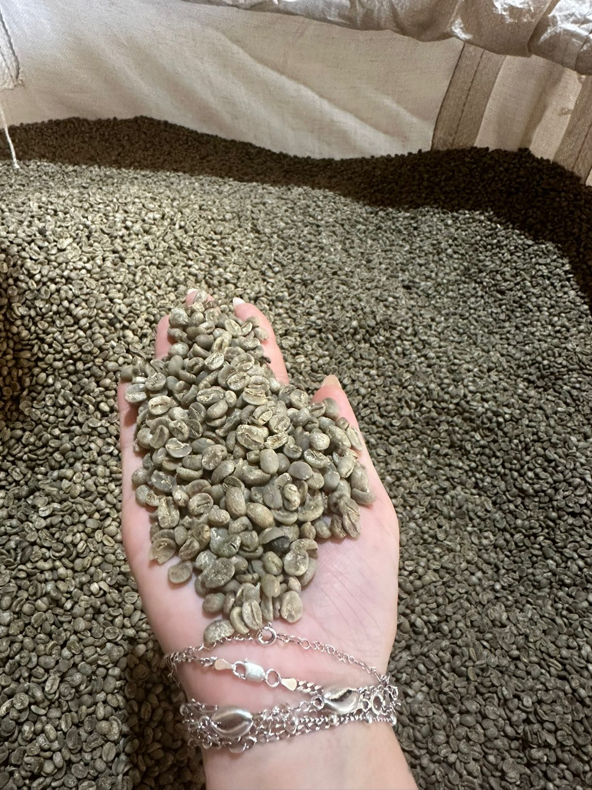 foto café na mao.jpeg