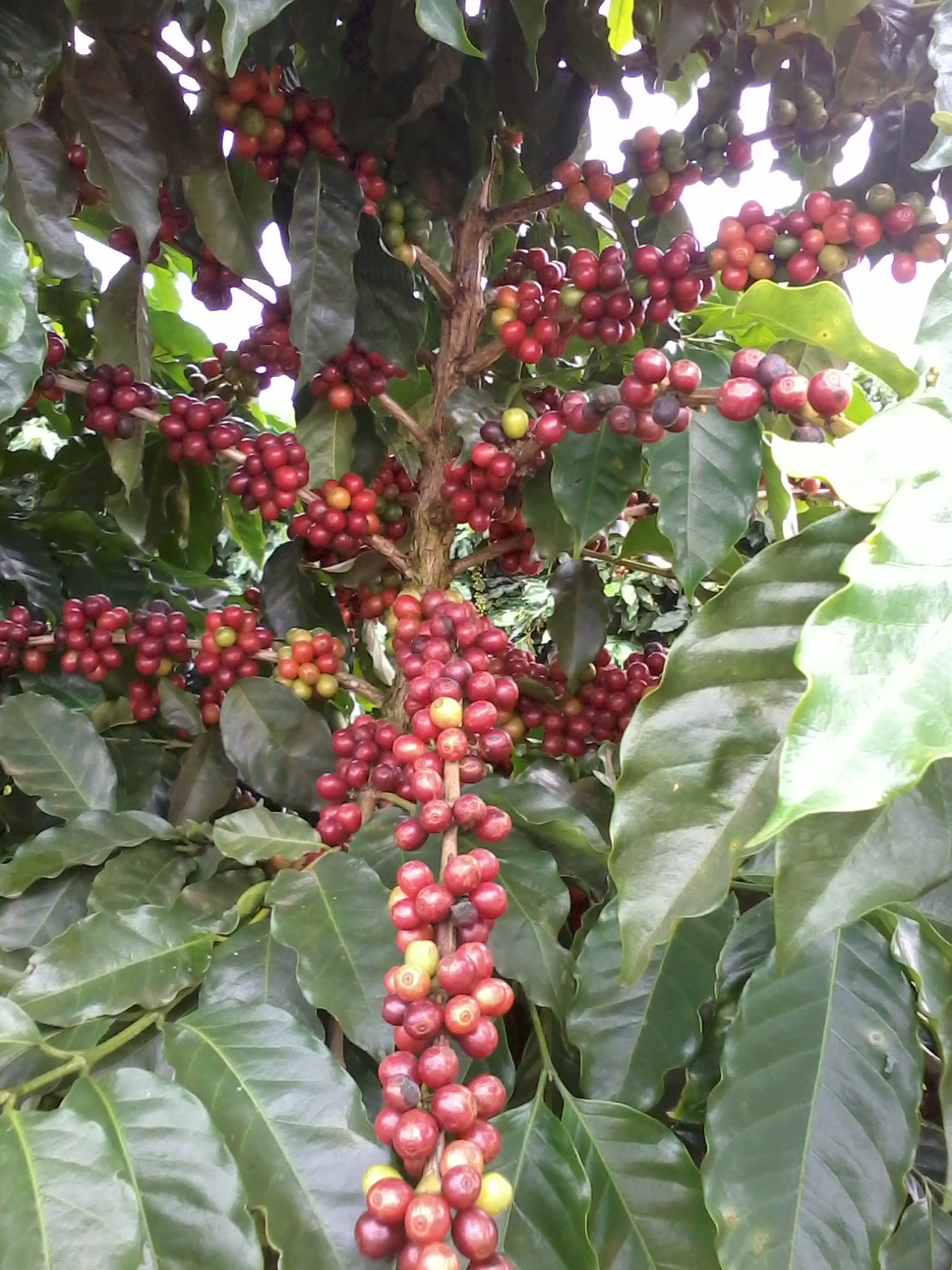 WhatsApp Image 2025-06-24 at 13.48.11 (1).jpeg