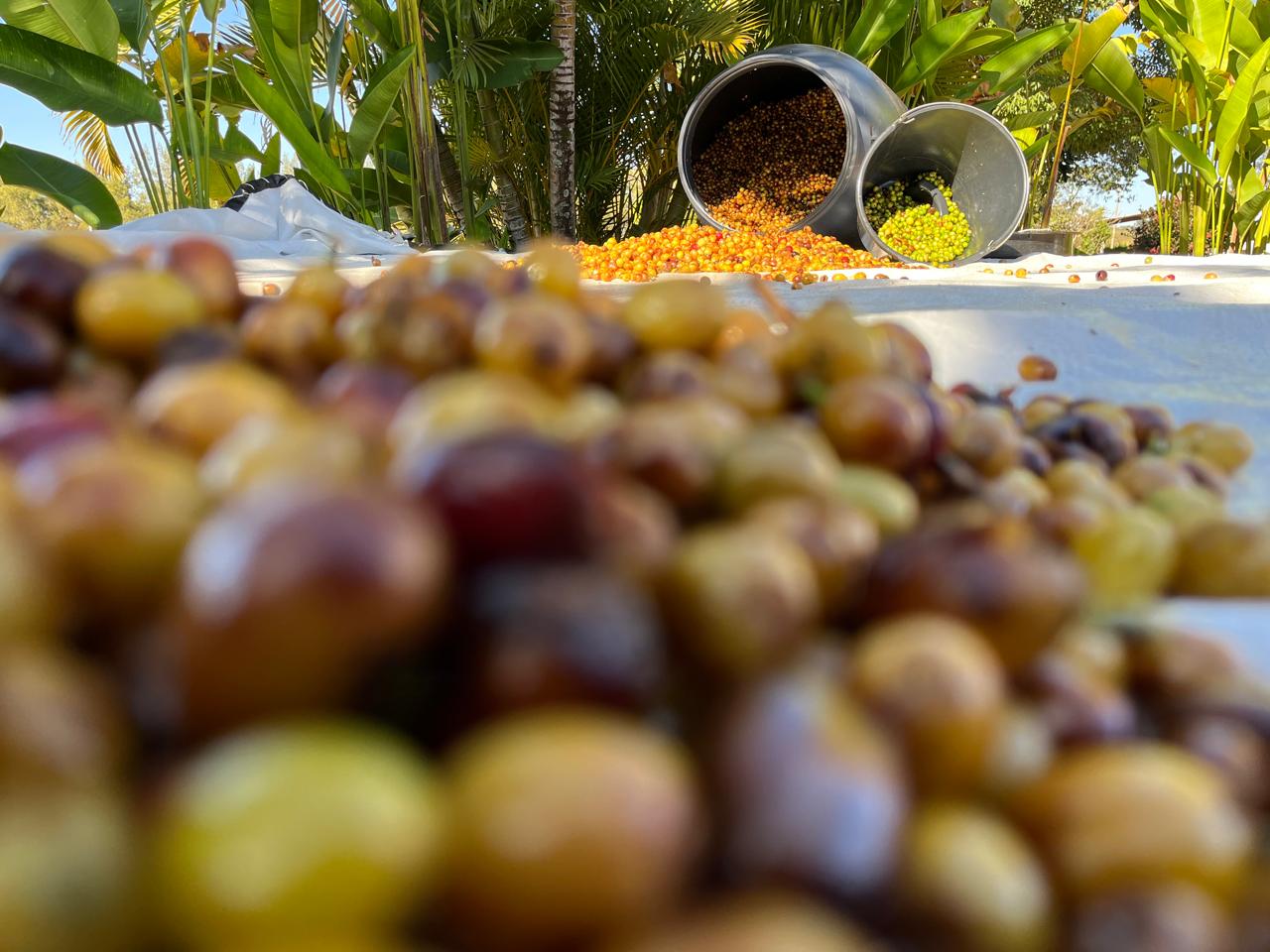 WhatsApp Image 2025-0-6-27 at 16.22.16.jpeg